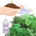 Miracle-Gro AeroGarden Sprout LED, White with Gourmet Herbs   565846527